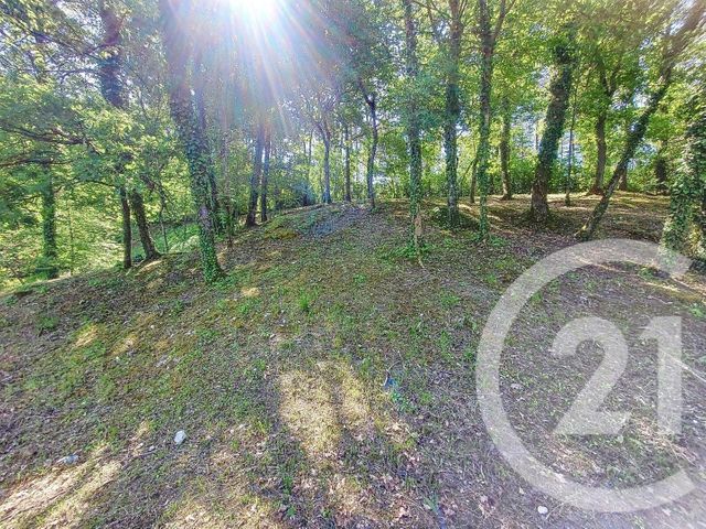 maison à vendre - 7 pièces - 189.0 m2 - BAGNEAUX SUR LOING - 77 - ILE-DE-FRANCE - Century 21 Agence Notre-Dame