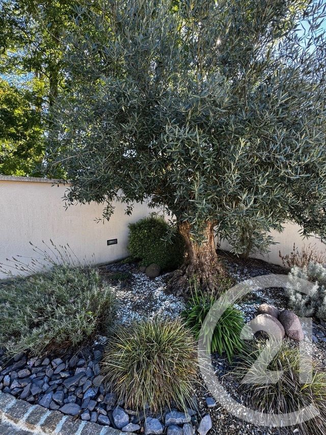 maison à vendre - 7 pièces - 148.4 m2 - ST SAUVEUR SUR ECOLE - 77 - ILE-DE-FRANCE - Century 21 Agence Notre-Dame