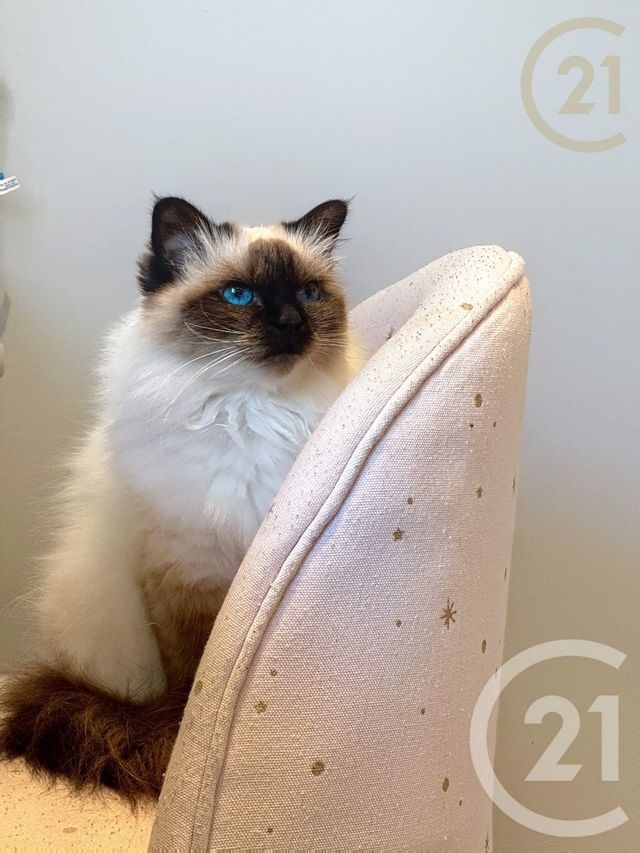 maison à vendre - 7 pièces - 148.4 m2 - ST SAUVEUR SUR ECOLE - 77 - ILE-DE-FRANCE - Century 21 Agence Notre-Dame